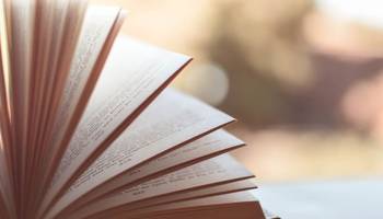 บทความ
